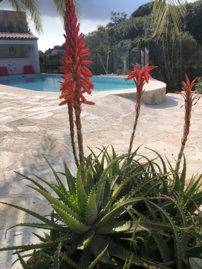 Villa Maxima Sunset Sainte-Maxime Esterno foto